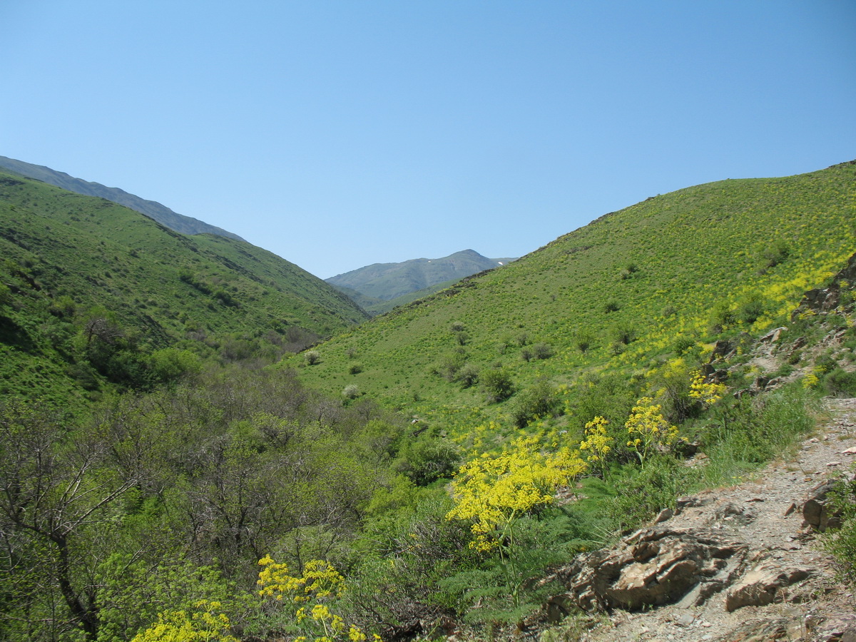 Беркара, image of landscape/habitat.