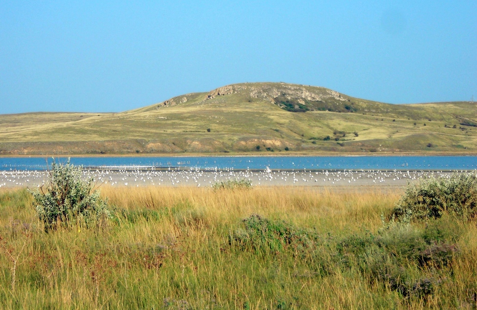 Озеро Чокрак, image of landscape/habitat.