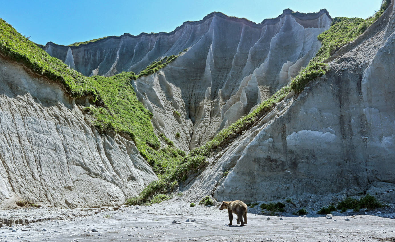 Белые скалы, image of landscape/habitat.