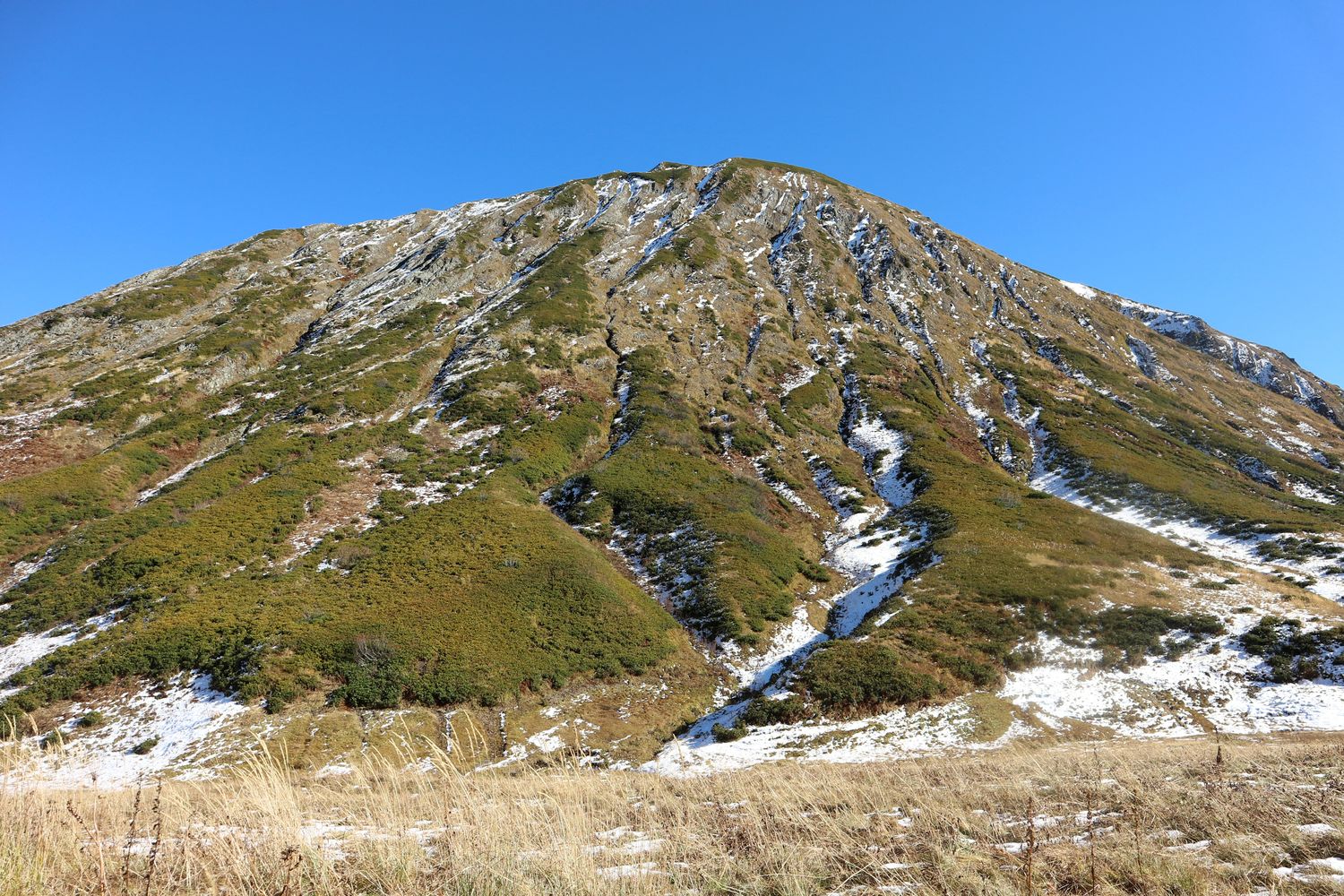 Перевал Псеашхо, image of landscape/habitat.