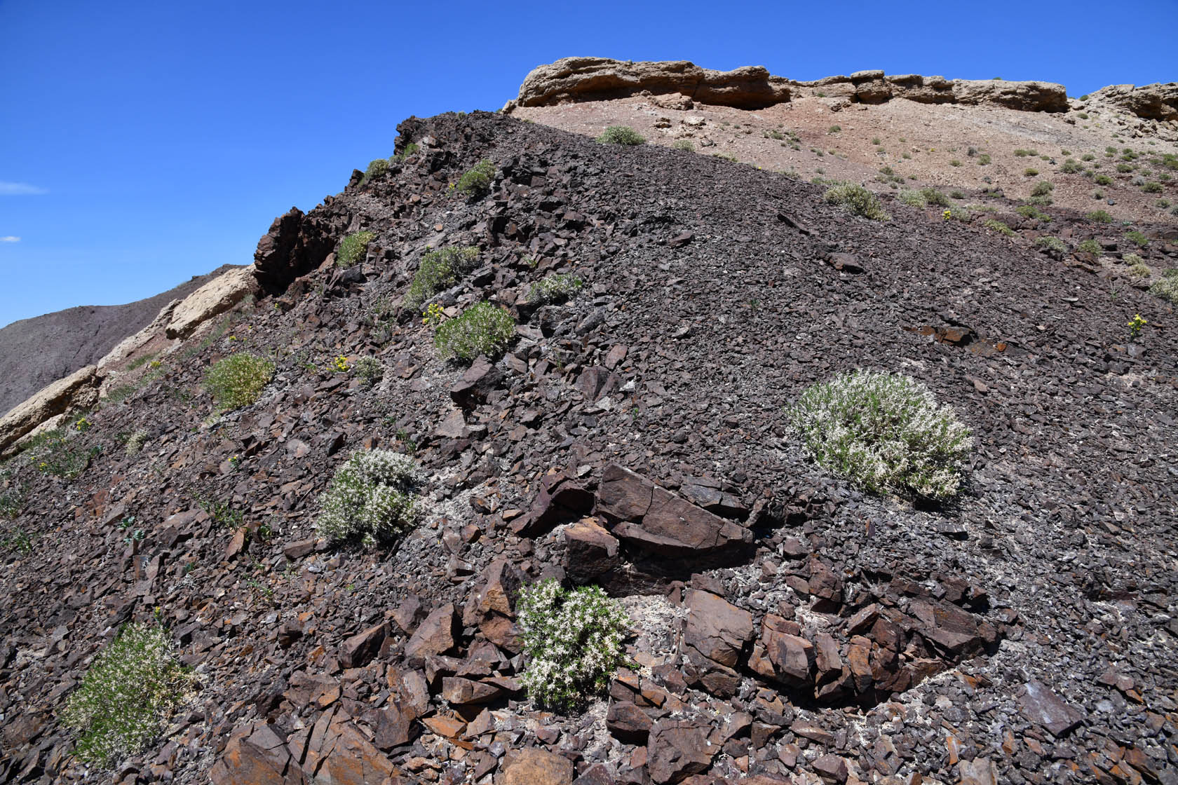 Горы Улькен-Богуты, image of landscape/habitat.
