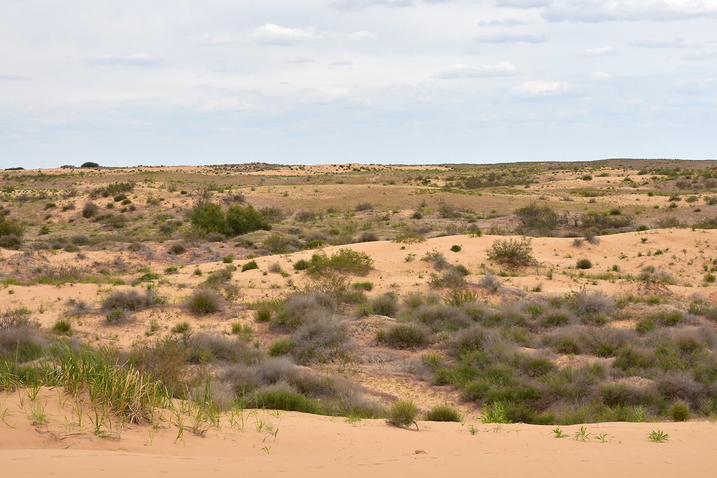 Бархан Большой Брат, image of landscape/habitat.