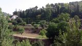 Image of landscape