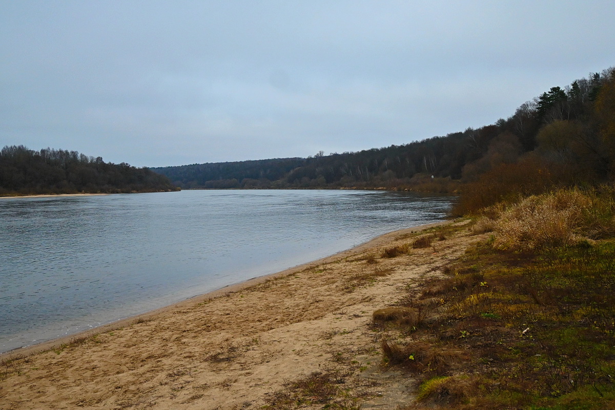 Поленово и окрестности, image of landscape/habitat.