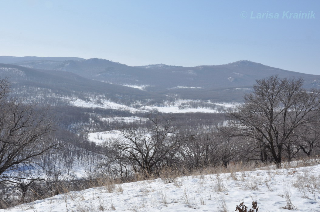 Монакино, image of landscape/habitat.