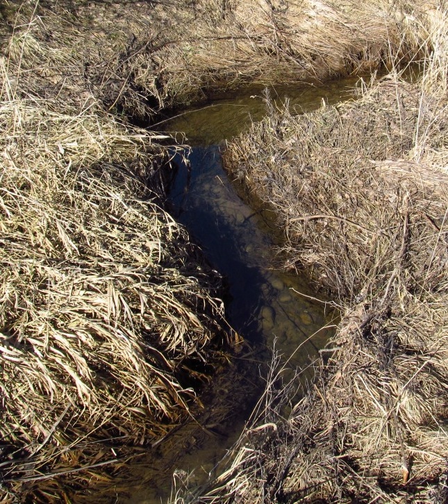 Хутор Экономия, image of landscape/habitat.