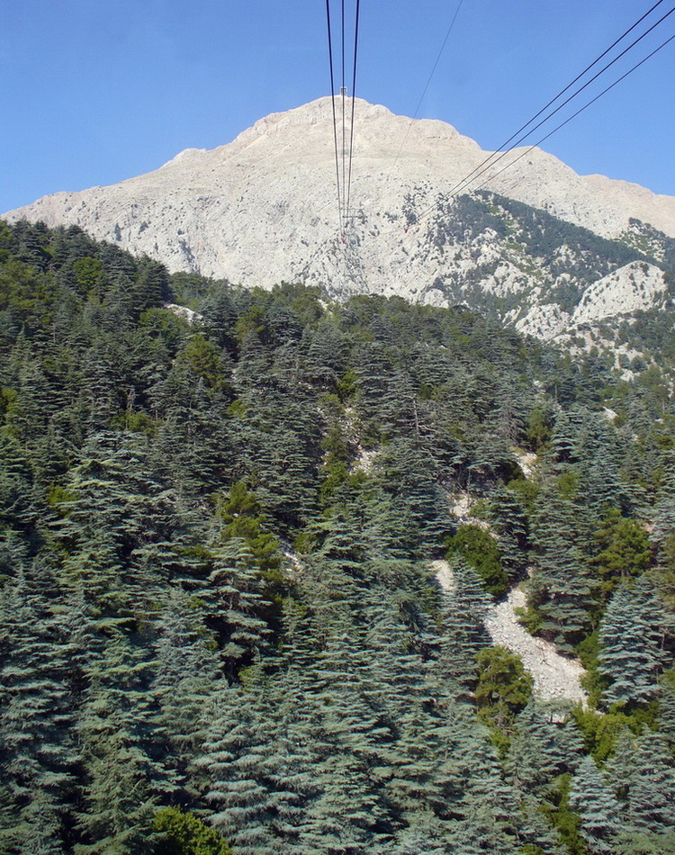 Гора Тахталы, изображение ландшафта.