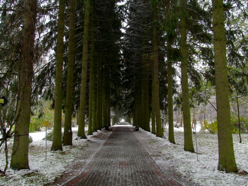 Минск, Ботанический сад, image of landscape/habitat.