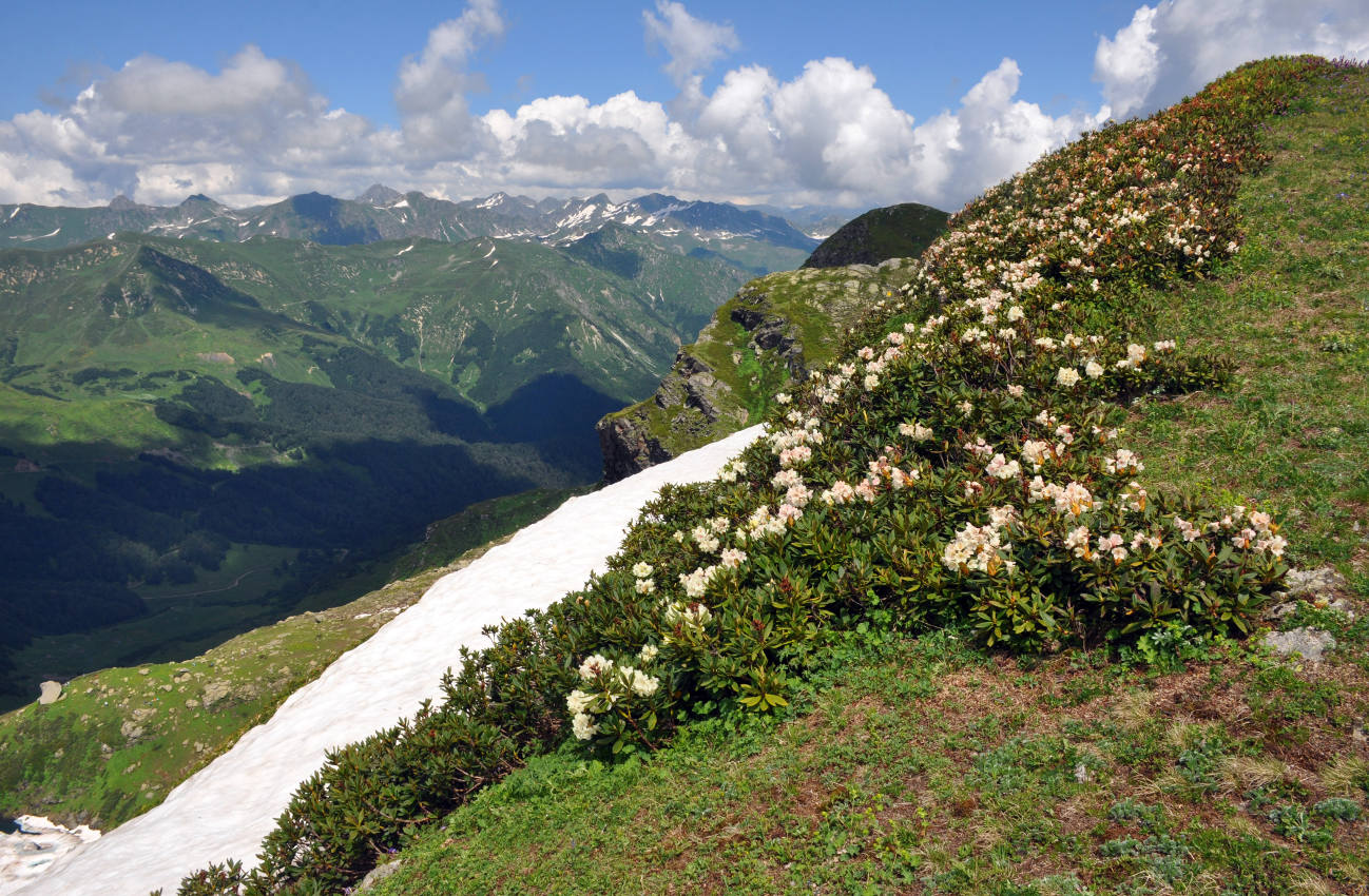 Гора Чха, image of landscape/habitat.