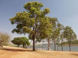 Image of landscape