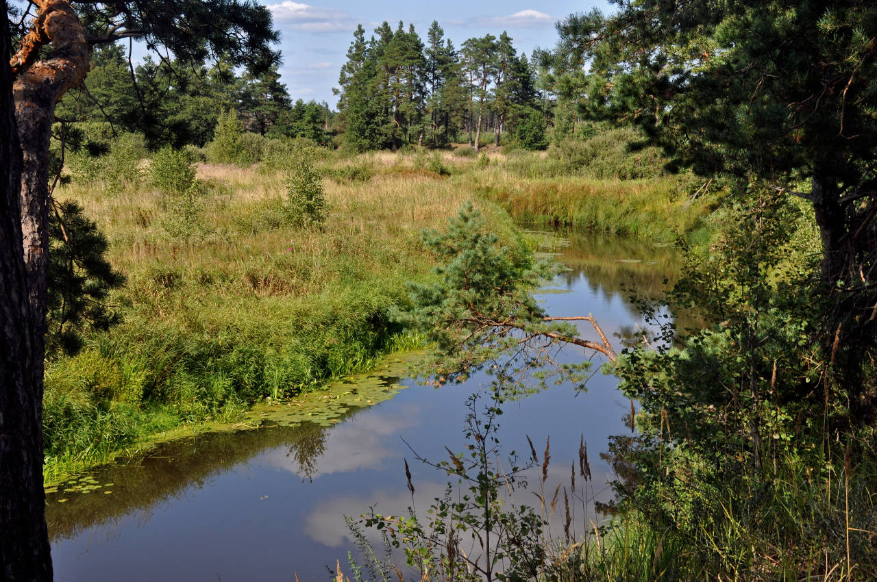 Долина реки Поля, image of landscape/habitat.