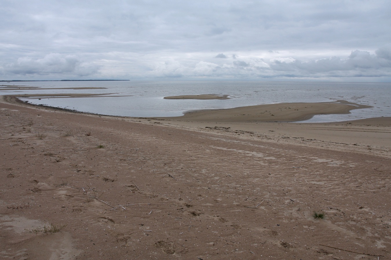 Окрестности Кленно, image of landscape/habitat.