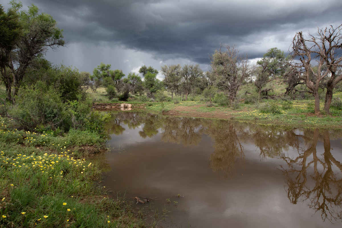 Кхомас, image of landscape/habitat.