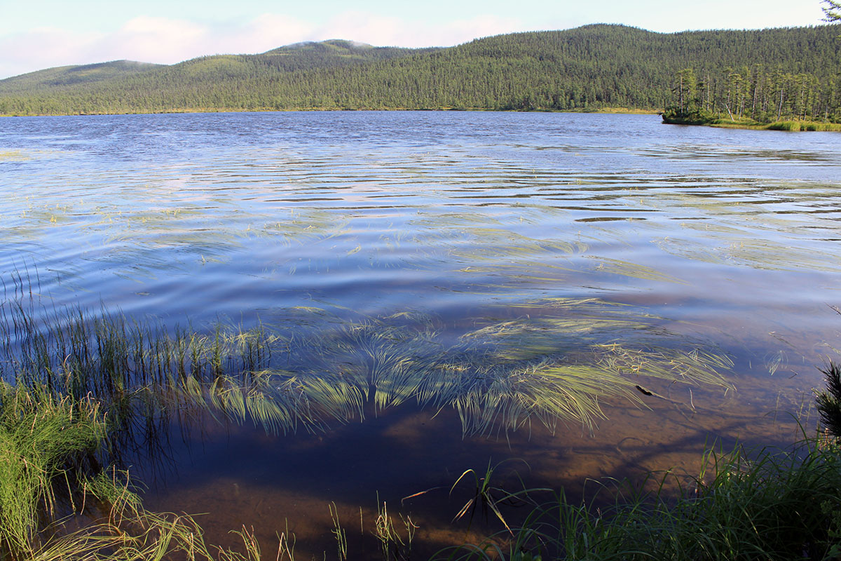 Онгачан, image of landscape/habitat.