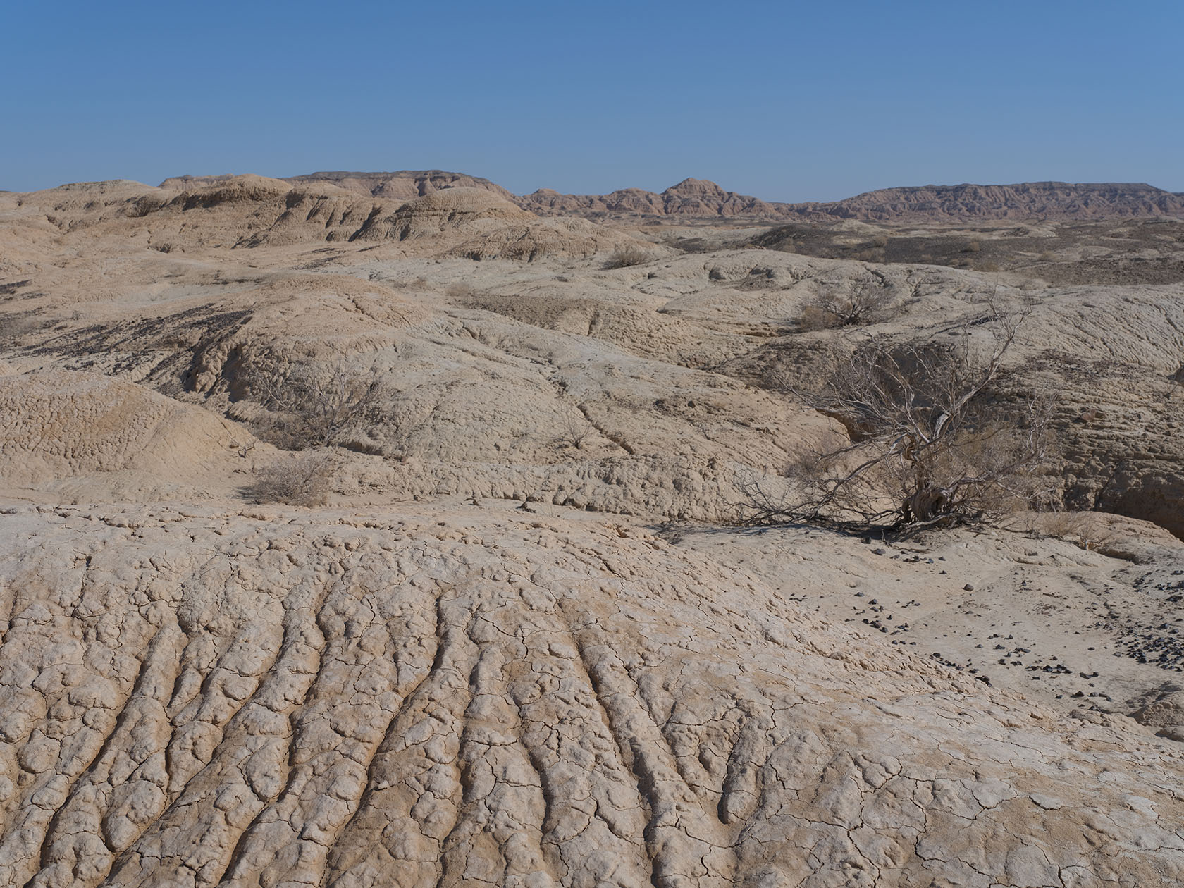 Сарымсакты, image of landscape/habitat.