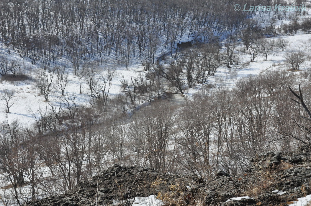 Монакино, image of landscape/habitat.