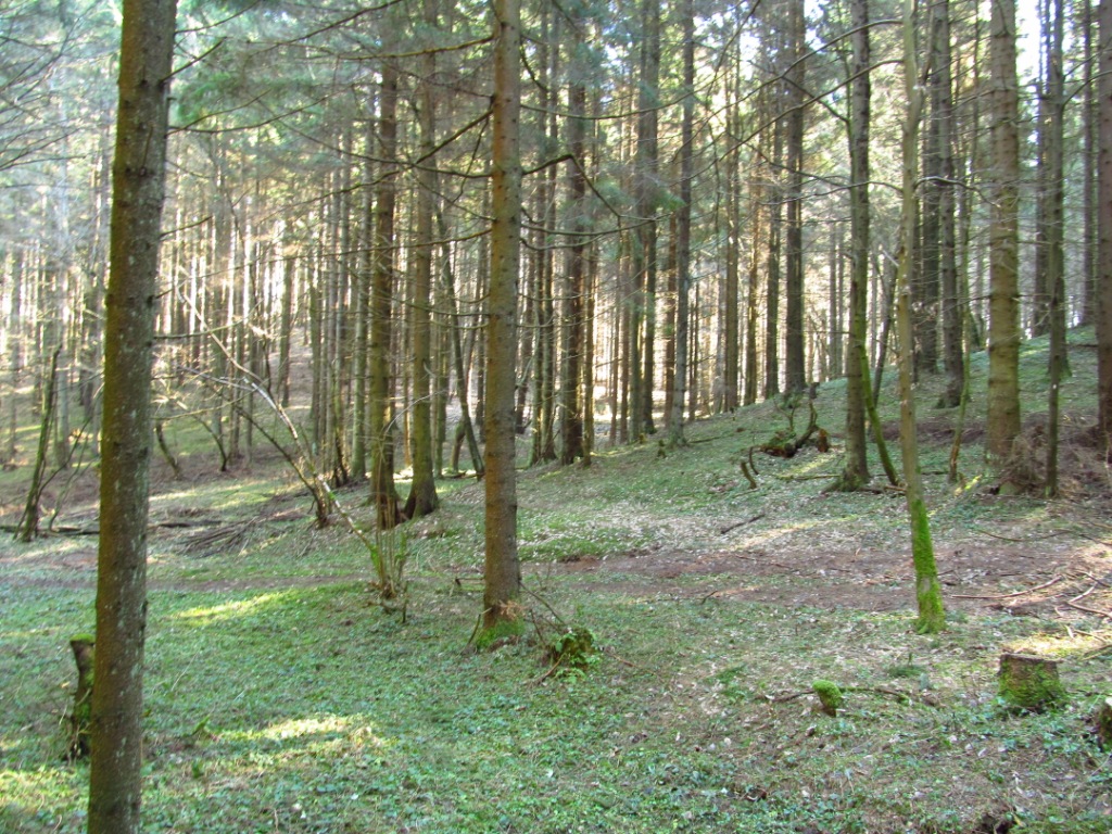 Городиловка, image of landscape/habitat.