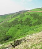 Image of landscape
