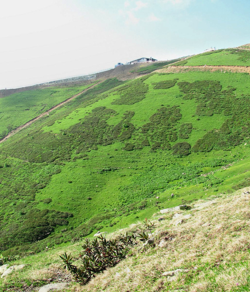 Хребет Аибга, image of landscape/habitat.