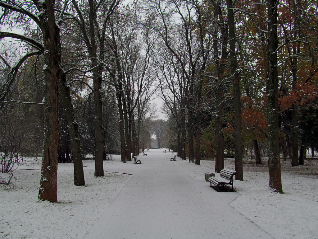 Минск, Ботанический сад, image of landscape/habitat.
