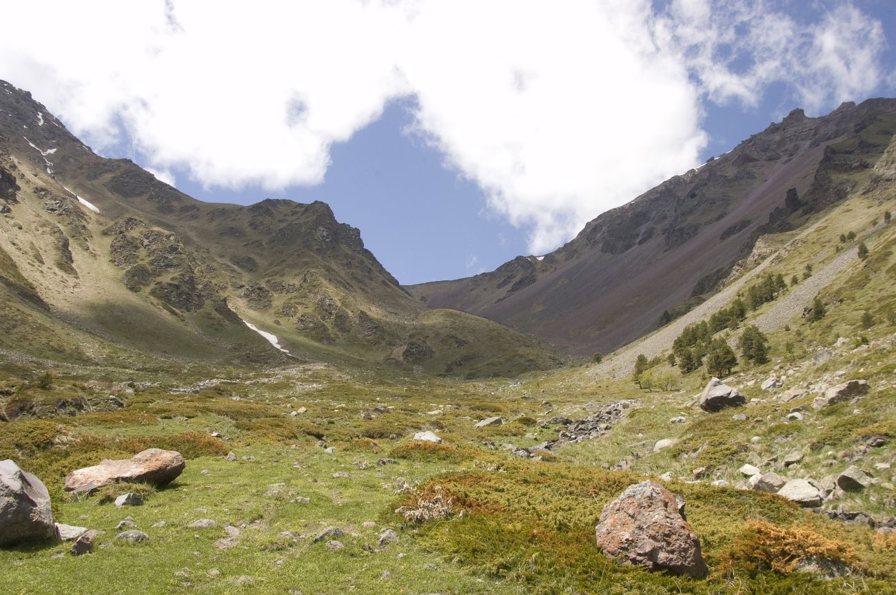 Долина реки Сылтрансу, image of landscape/habitat.