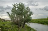 Грязнушинский, image of landscape/habitat.