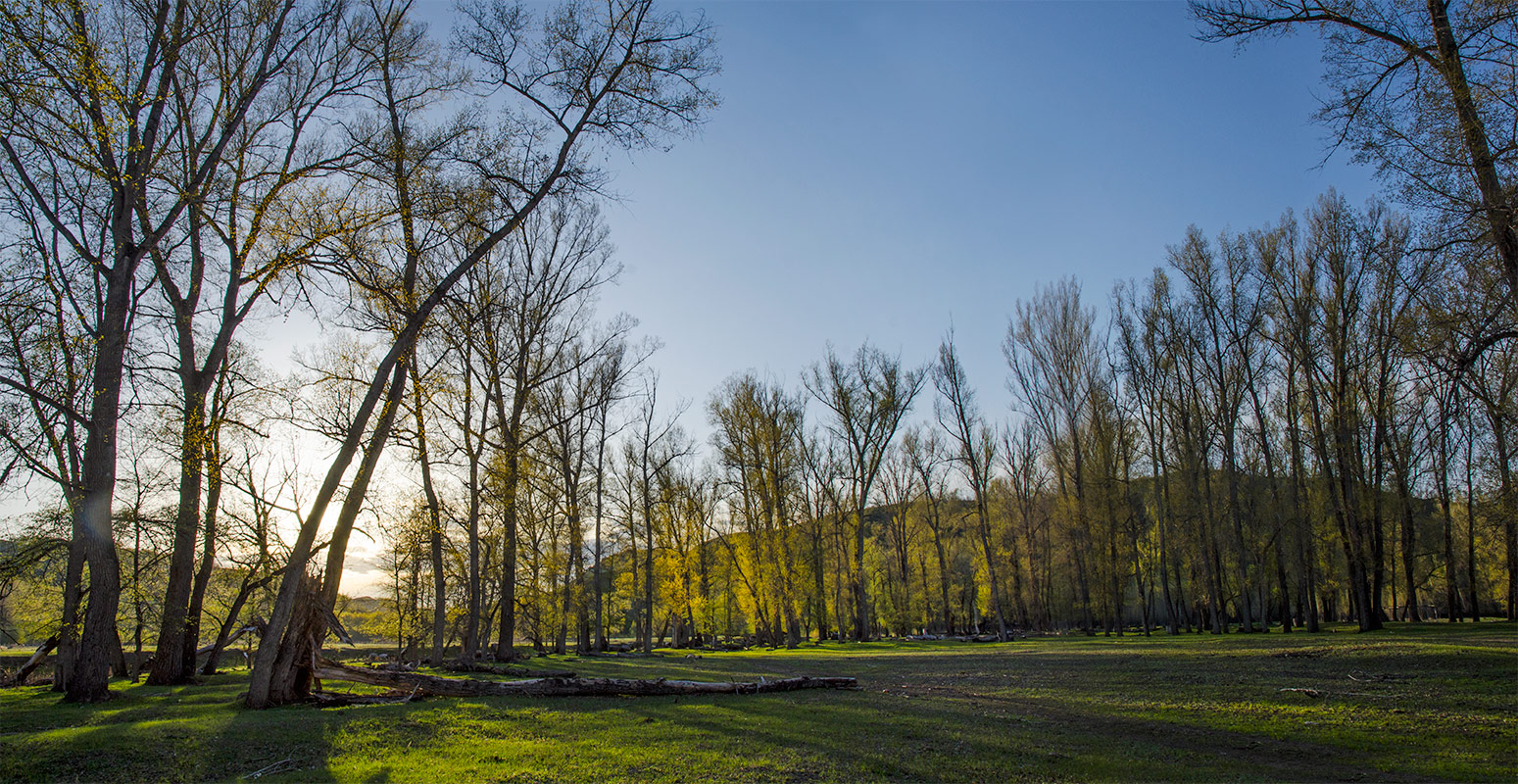 Окрестности Янтышево, image of landscape/habitat.