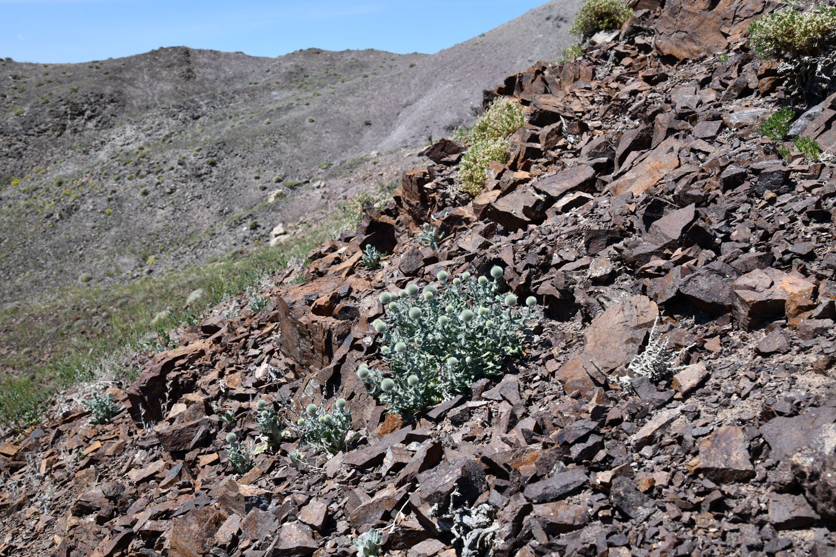 Горы Улькен-Богуты, image of landscape/habitat.