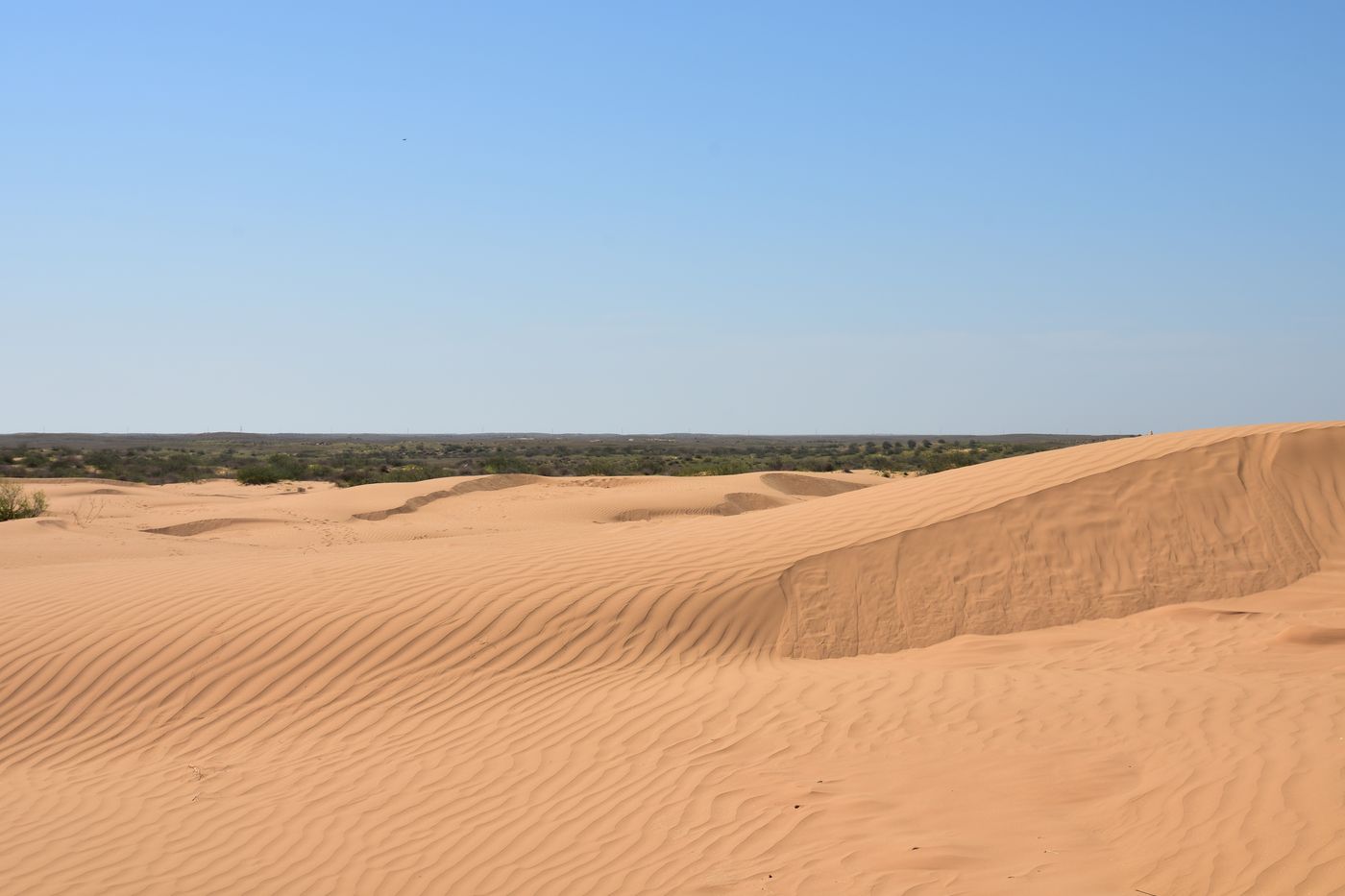 Бархан Большой Брат, image of landscape/habitat.