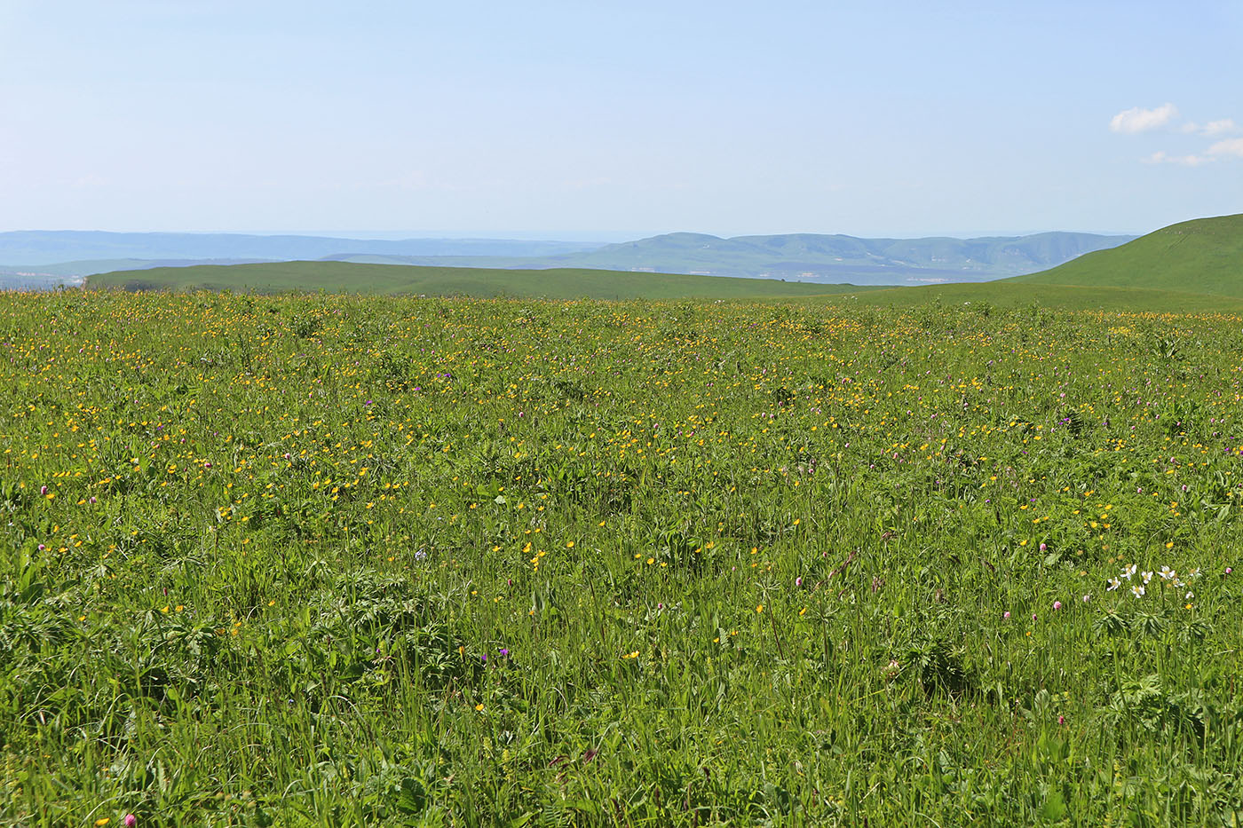 Джангур, image of landscape/habitat.