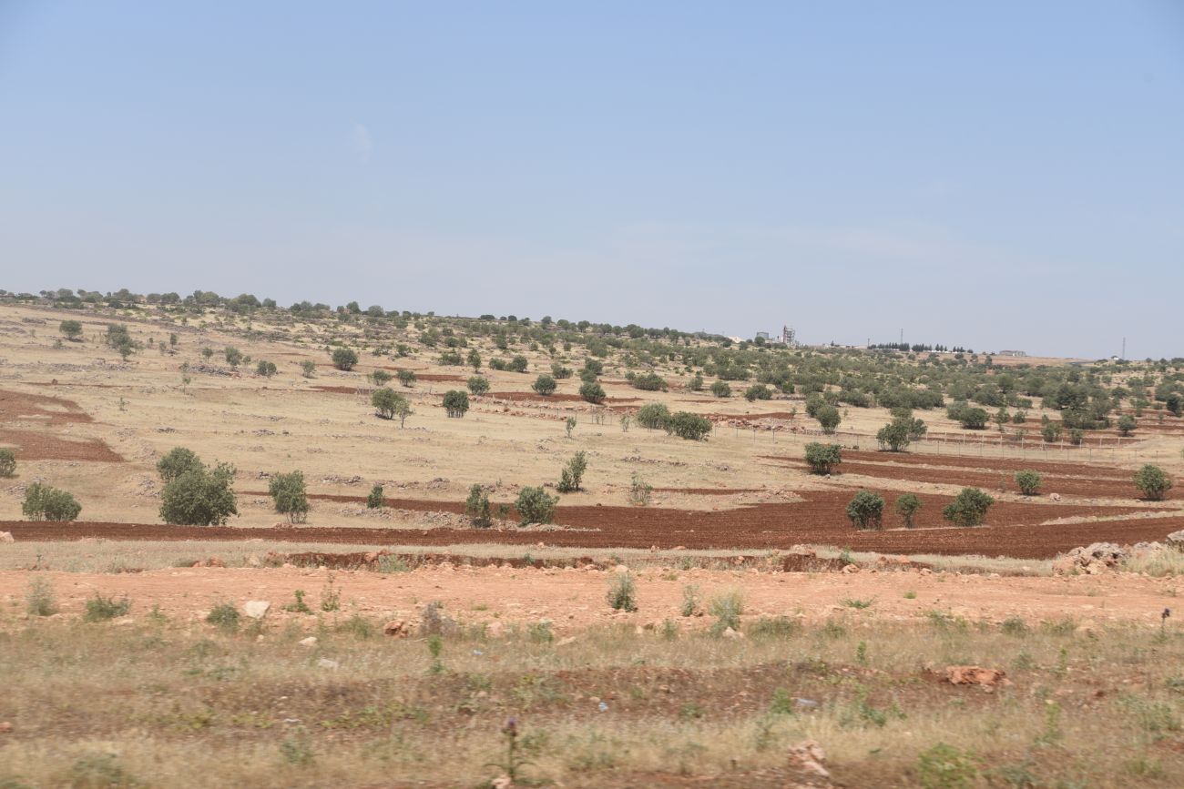 Монастырь Мор-Габриэль, image of landscape/habitat.