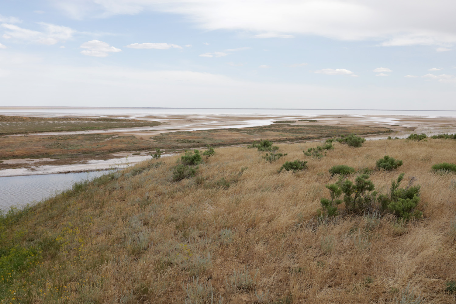 Побережье озера Эльтон, image of landscape/habitat.