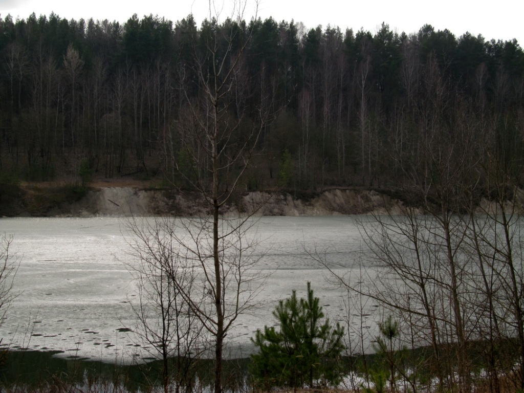 Лесопарк Пышки, image of landscape/habitat.