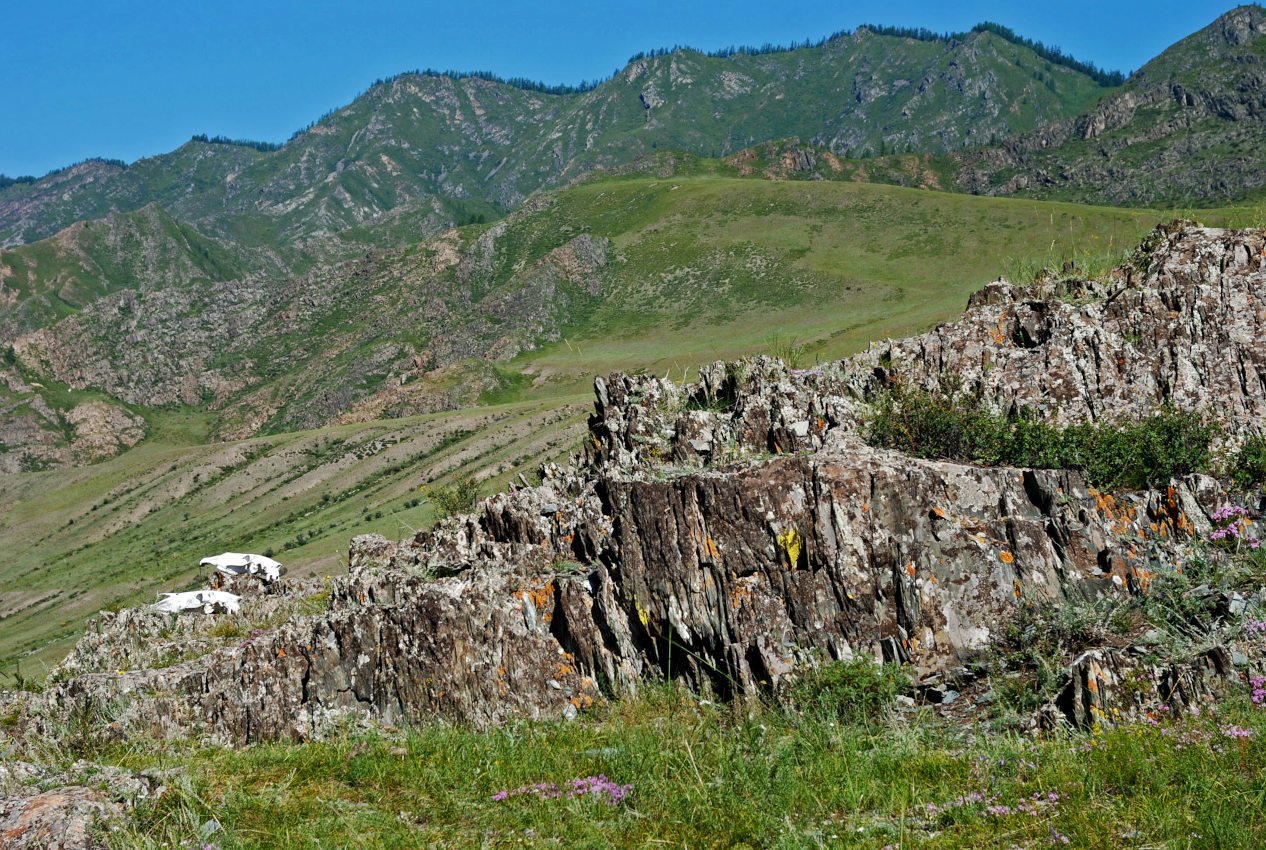 Калбак-таш, image of landscape/habitat.