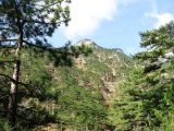 Landscape image