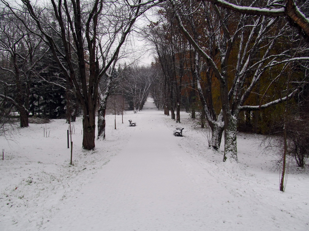 Минск, Ботанический сад, image of landscape/habitat.