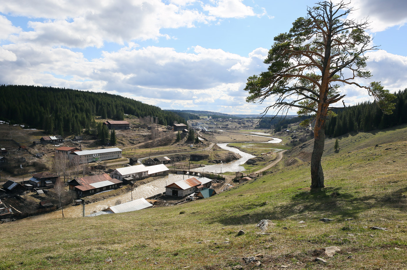 Кын и его окрестности, image of landscape/habitat.