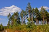 Image of landscape