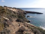 Image of landscape