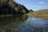 Окрестности Янтышево, image of landscape/habitat.