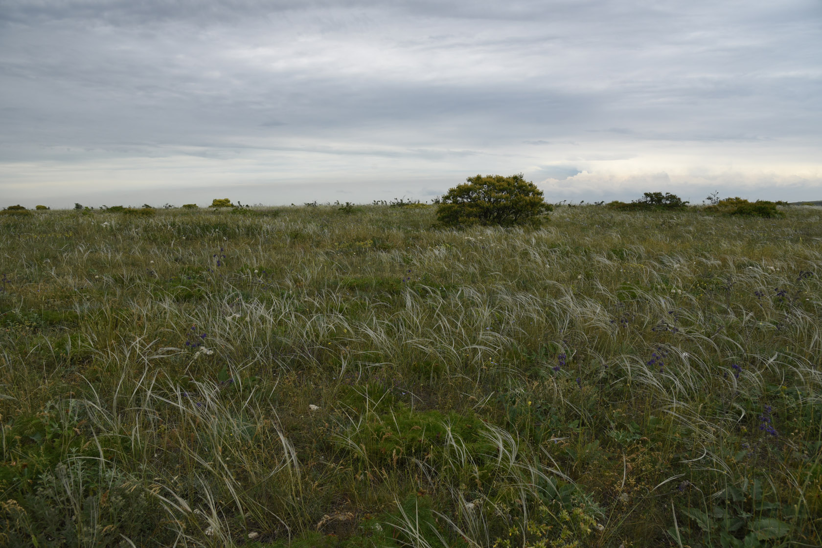 Узун-Сырт, image of landscape/habitat.