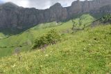 Image of landscape