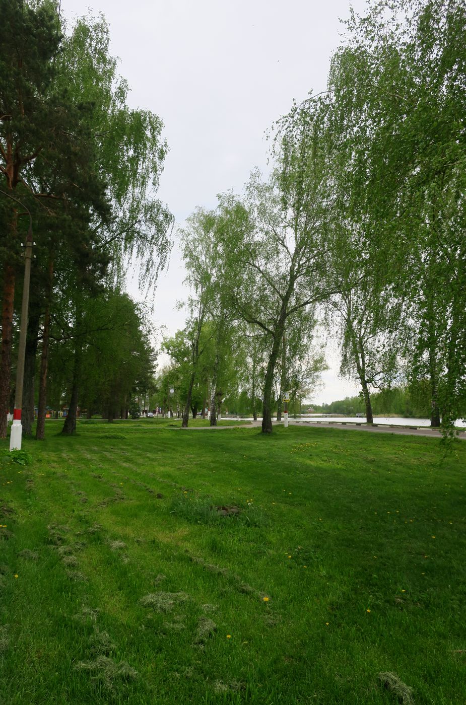 Электрогорск и его окрестности, image of landscape/habitat.
