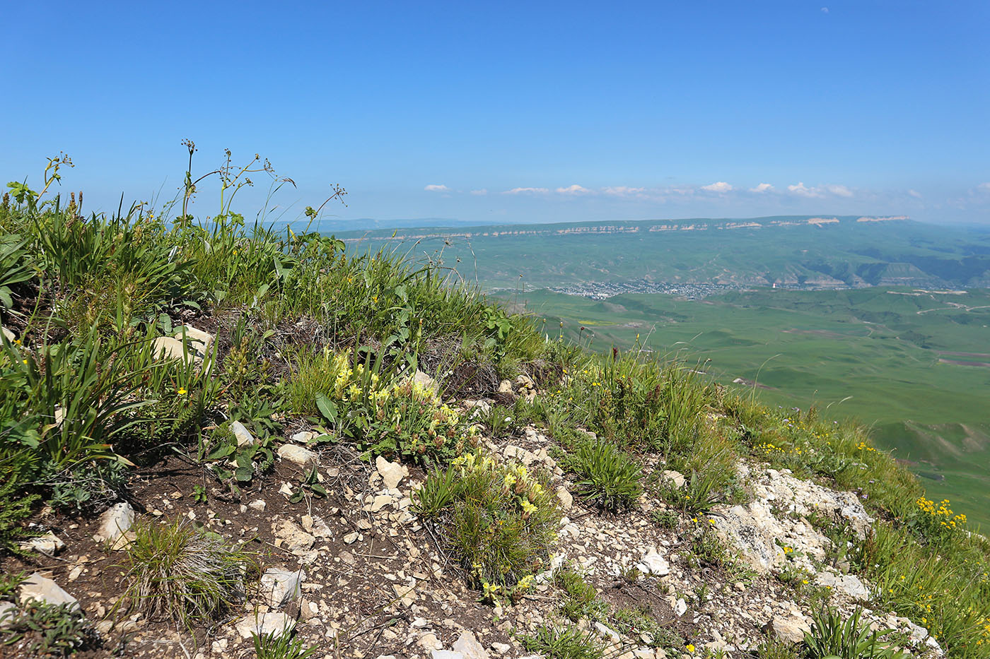 Джангур, image of landscape/habitat.