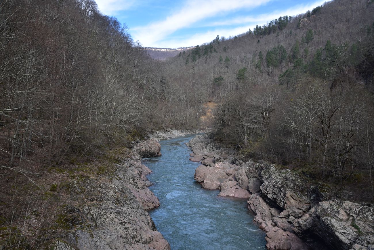 Урочище Блокгауз, image of landscape/habitat.