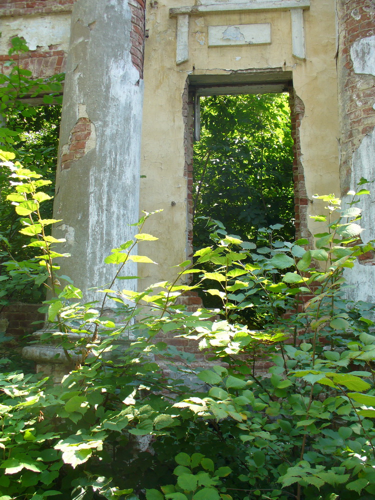 Петропавловский парк, image of landscape/habitat.