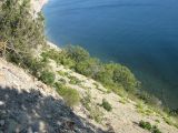 Image of landscape