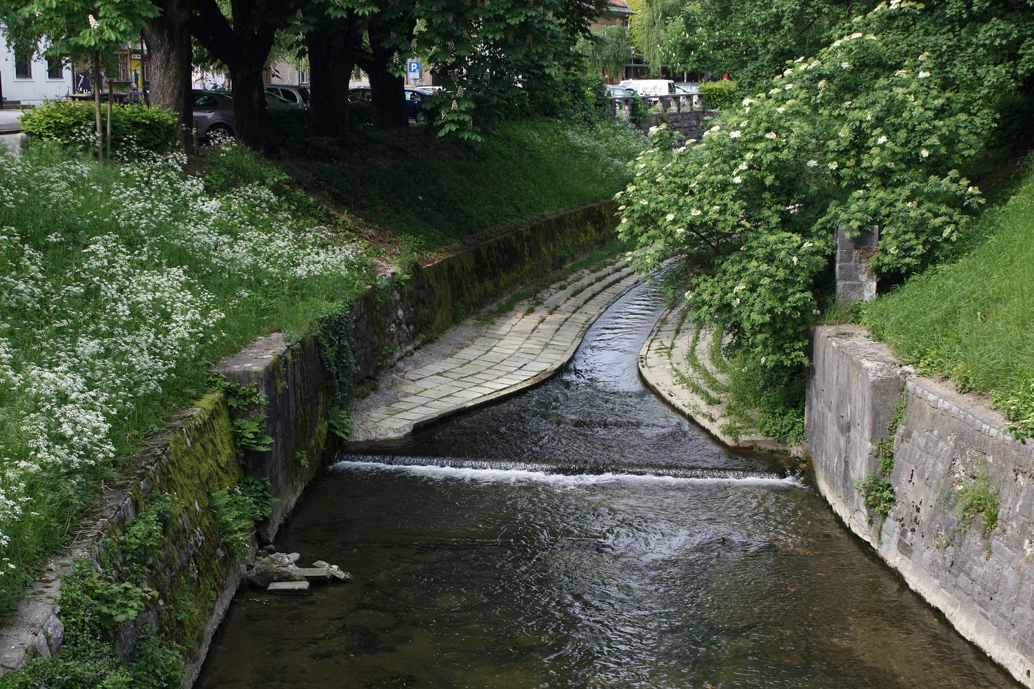 Любляна, image of landscape/habitat.