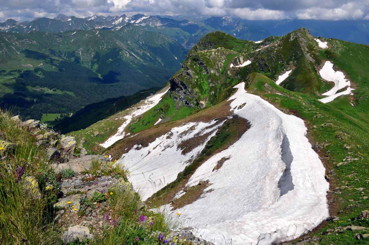 Гора Чха, image of landscape/habitat.