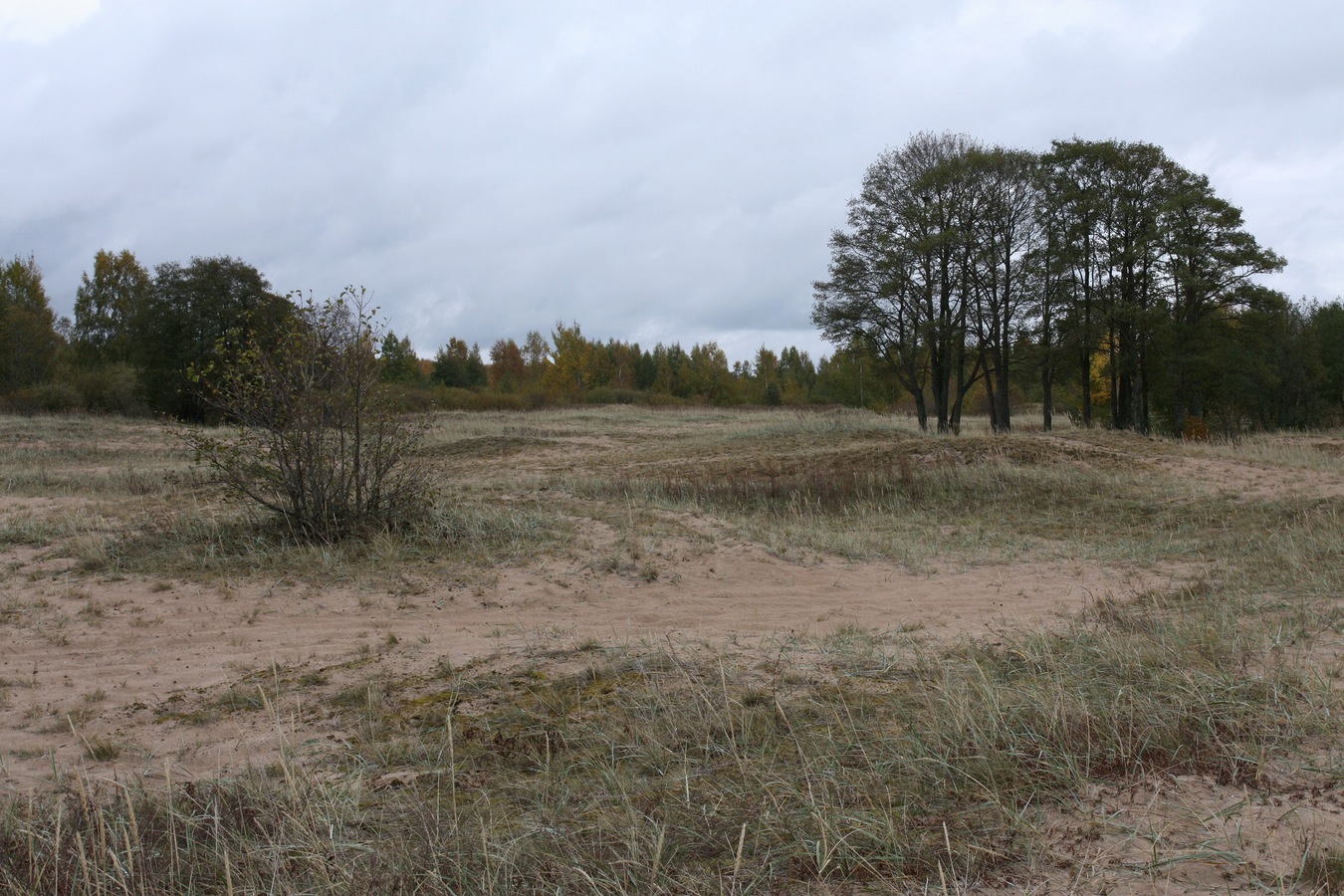 Окрестности Кленно, image of landscape/habitat.